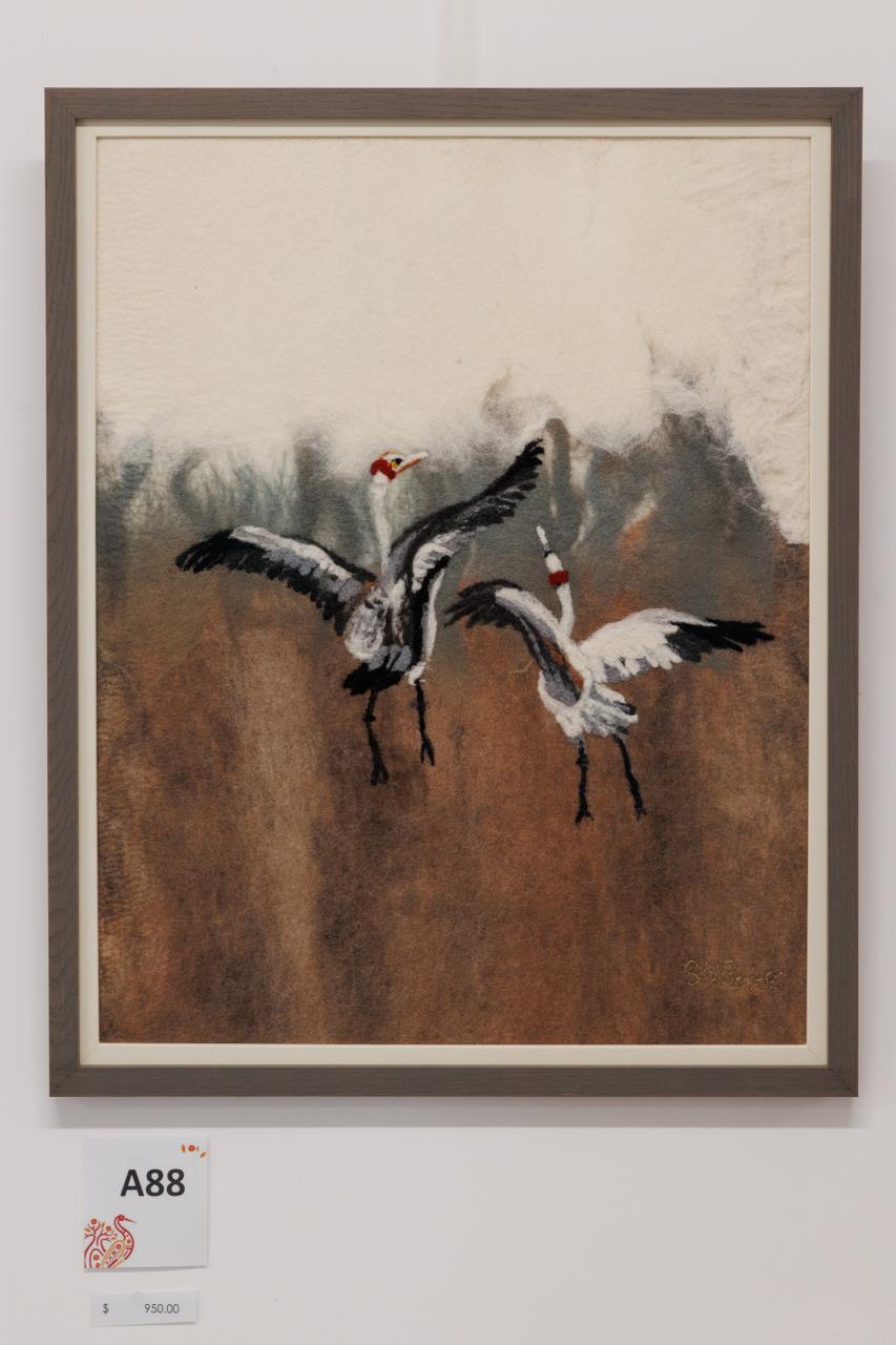 The dance of the brolga
